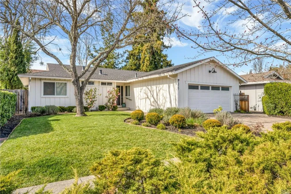 Custom yard cleanup service in Santa Rosa, CA - MD Landscape and Maintenance