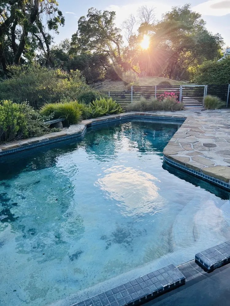 Professional lawn care service in Santa Rosa, CA by MD Landscape and Maintenance