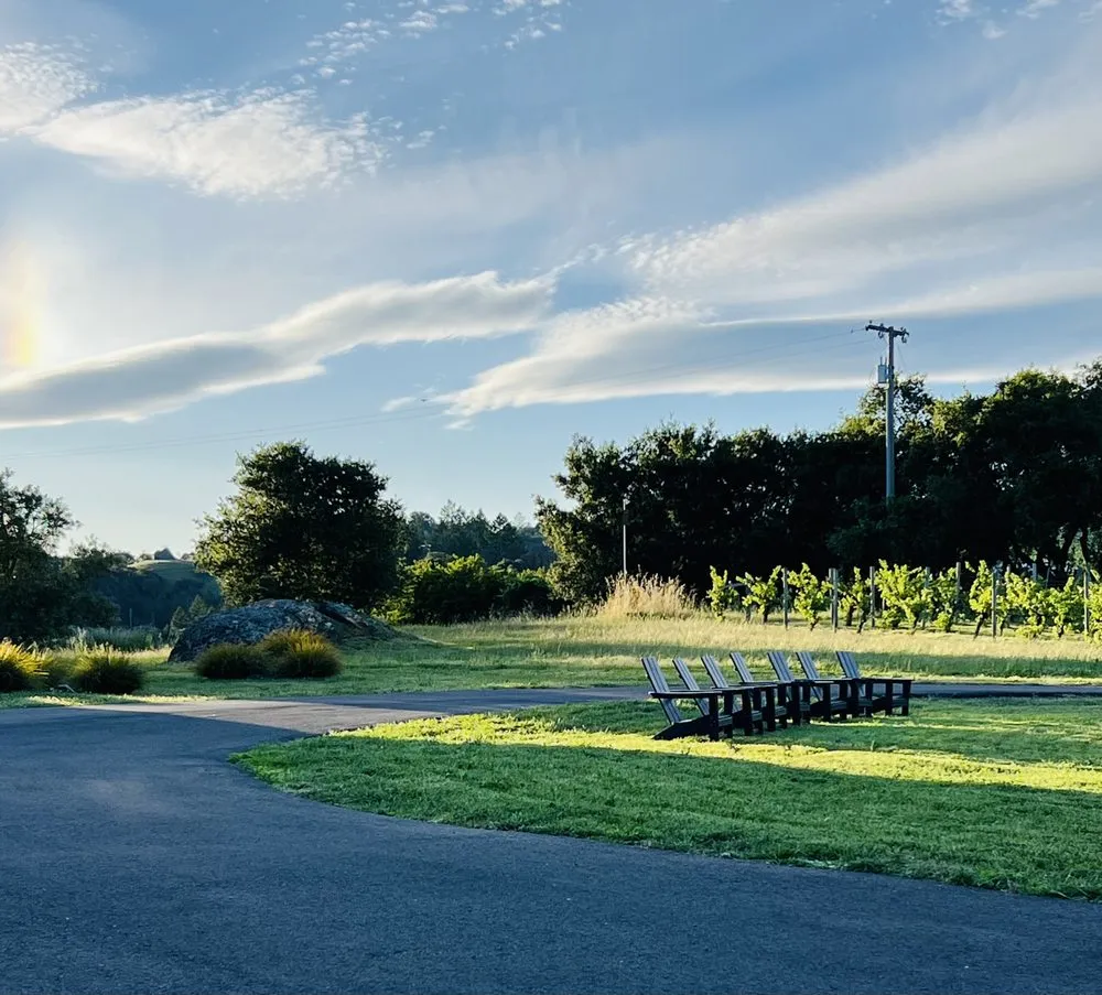 Trusted yard cleanup service in Santa Rosa, CA - MD Landscape and Maintenance