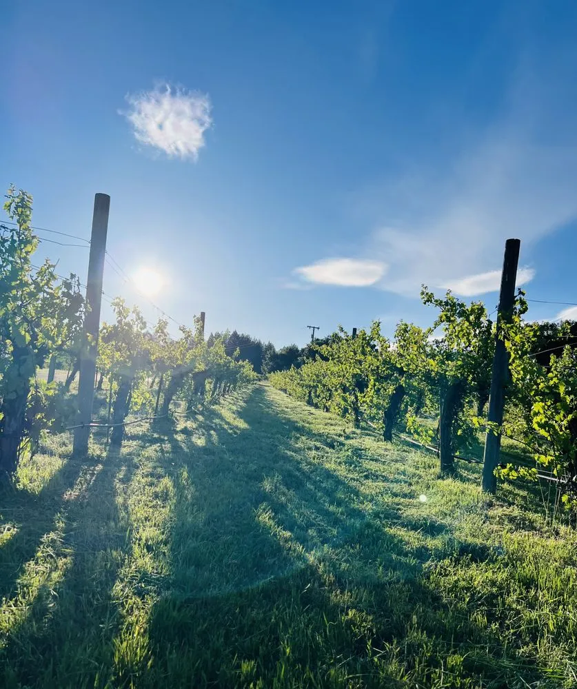 Custom landscaping services for outdoor upgrades in Santa Rosa, CA by MD Landscape and Maintenance