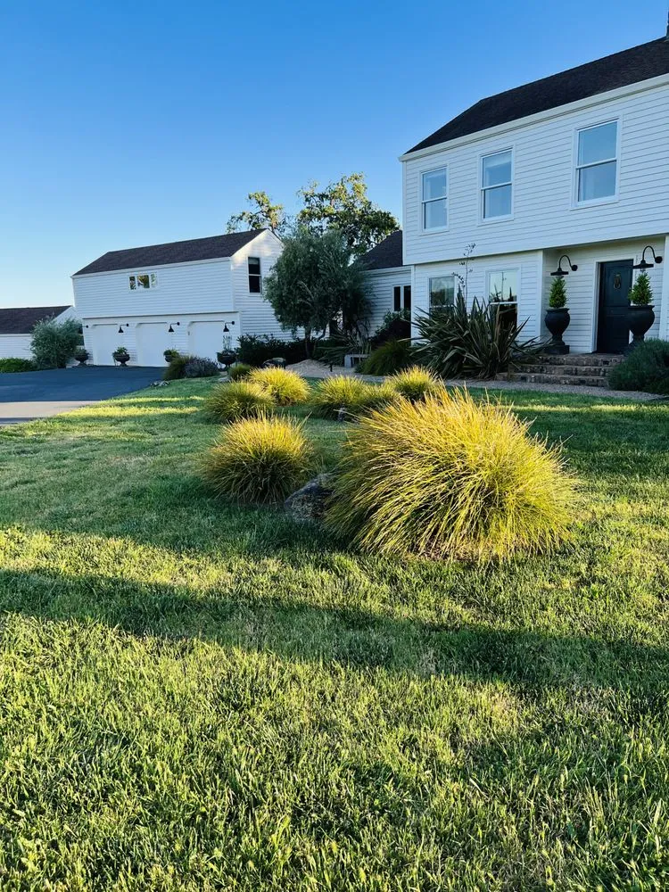 Top-rated yard maintenance in Santa Rosa, CA - MD Landscape and Maintenance