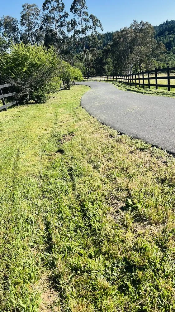 Professional landscape installation in Santa Rosa, CA by MD Landscape and Maintenance