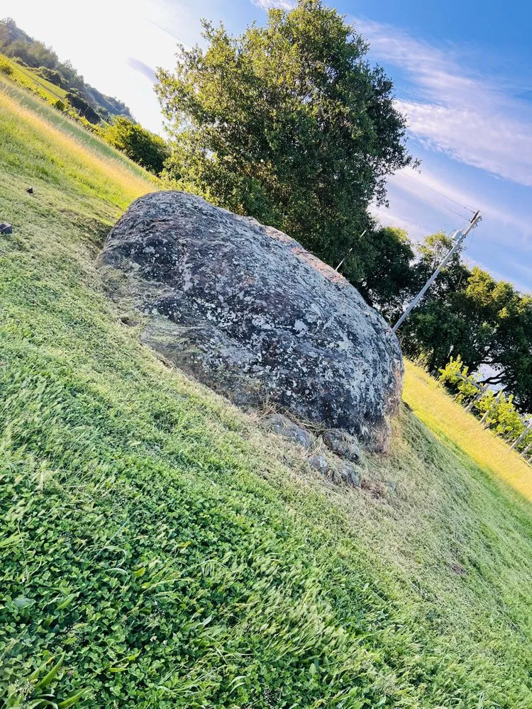 Affordable yard cleanup service near you across Santa Rosa, CA - MD Landscape and Maintenance