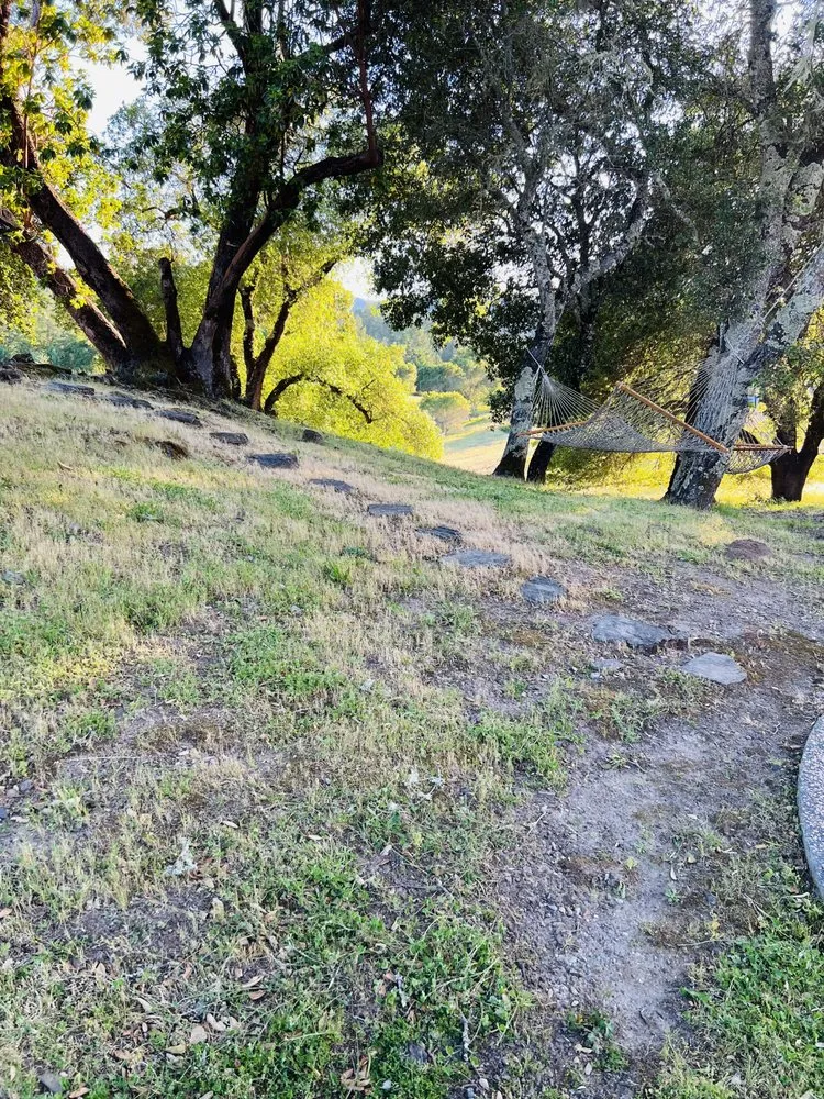 Professional landscape design in Santa Rosa, CA by MD Landscape and Maintenance