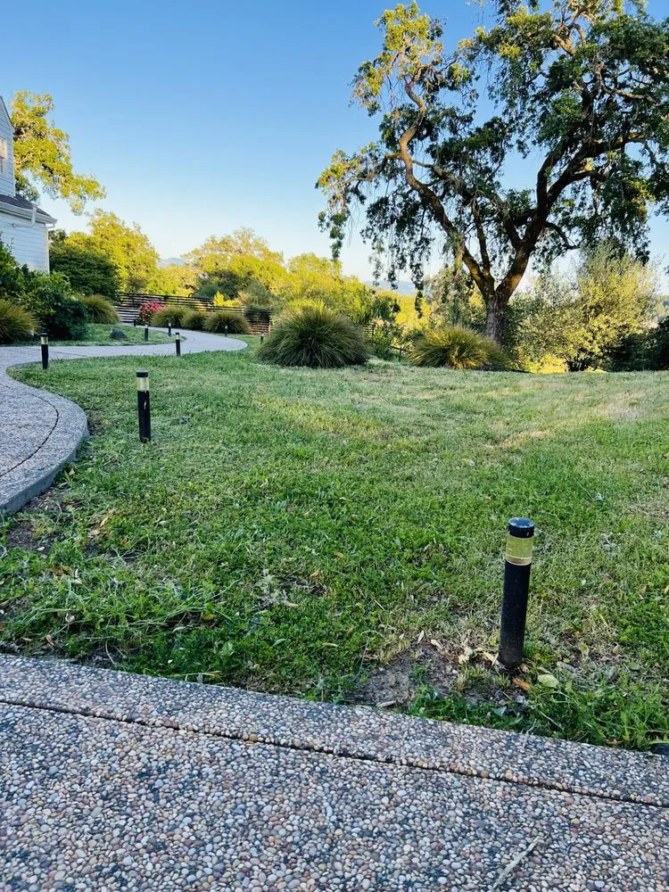 Expert landscaping services for homes across Santa Rosa, CA - MD Landscape and Maintenance