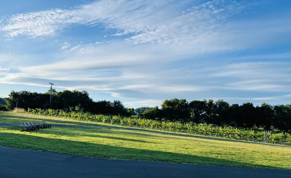 Affordable outdoor landscaping near you across Santa Rosa, CA - MD Landscape and Maintenance