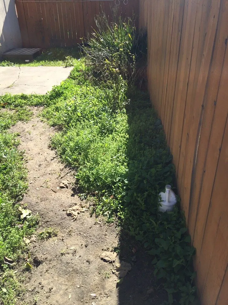 Affordable residential landscaping experts serving Lompoc, CA - M&D Landscape Construction