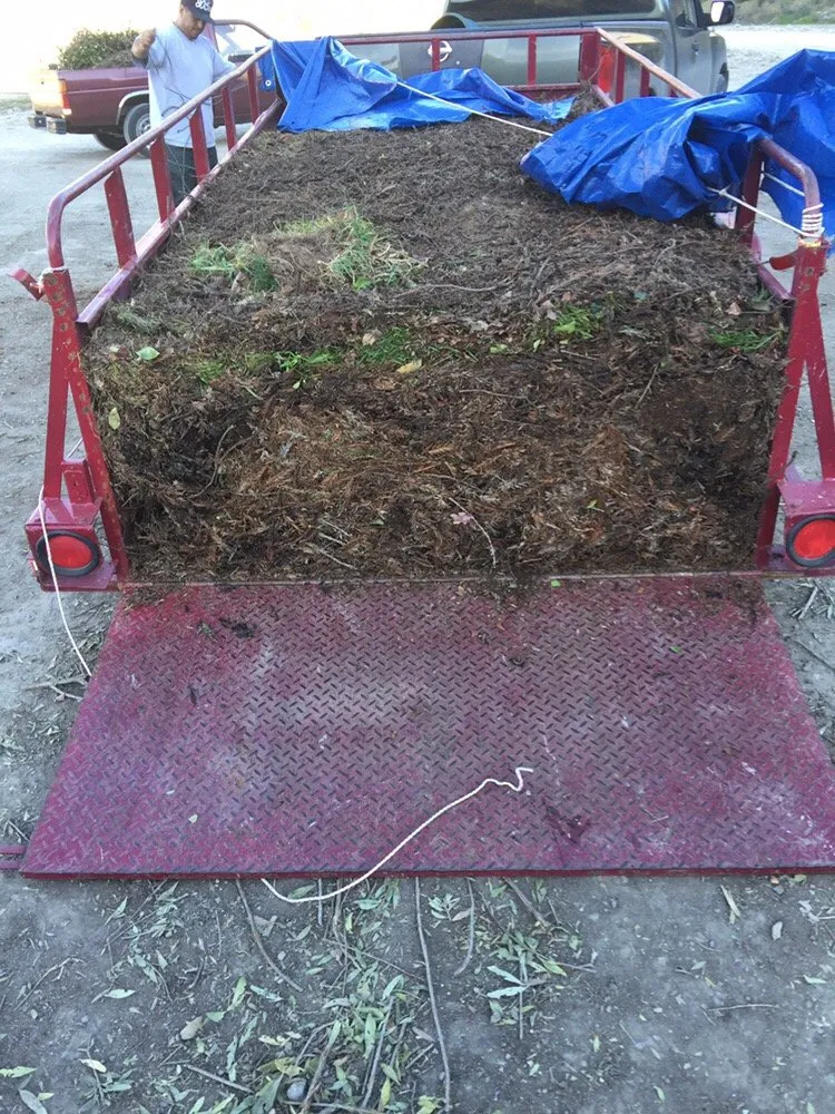 Local landscaping services for year-round maintenance in Lompoc, CA by M&D Landscape Construction