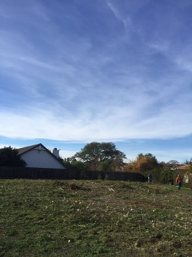 Affordable lawn care service in Lompoc, CA by M&D Landscape Construction