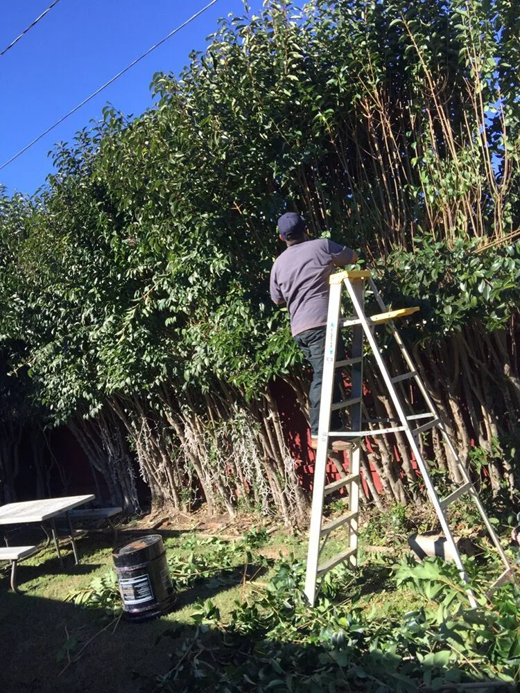 Custom lawn care service experts serving Lompoc, CA - M&D Landscape Construction