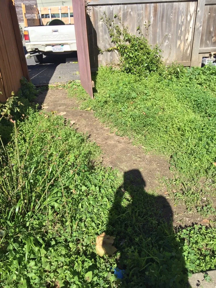 Affordable residential landscaping experts serving Lompoc, CA - M&D Landscape Construction