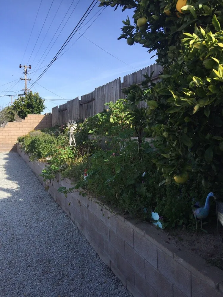 Trusted lawn mowing service in Lompoc, CA by M&D Landscape Construction