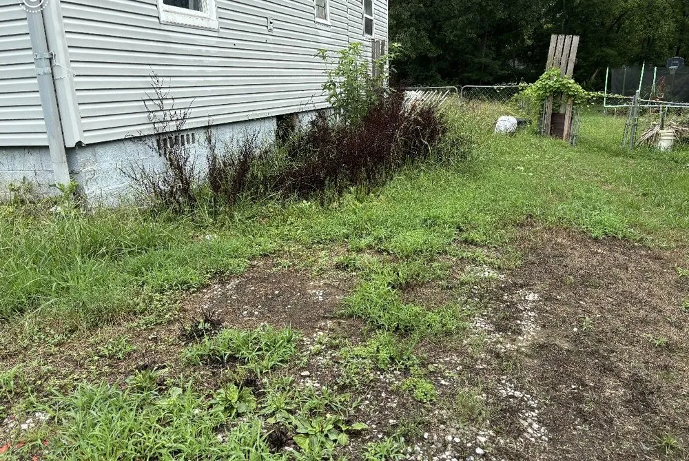 Professional lawn care service for year-round maintenance in Rossville, GA by MD Landscaping & Construction