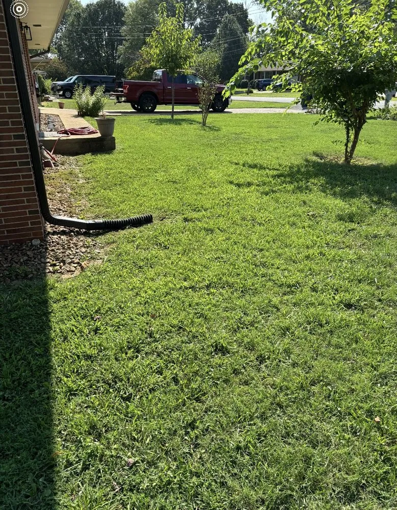 Expert landscape installation experts serving Rossville, GA - MD Landscaping & Construction