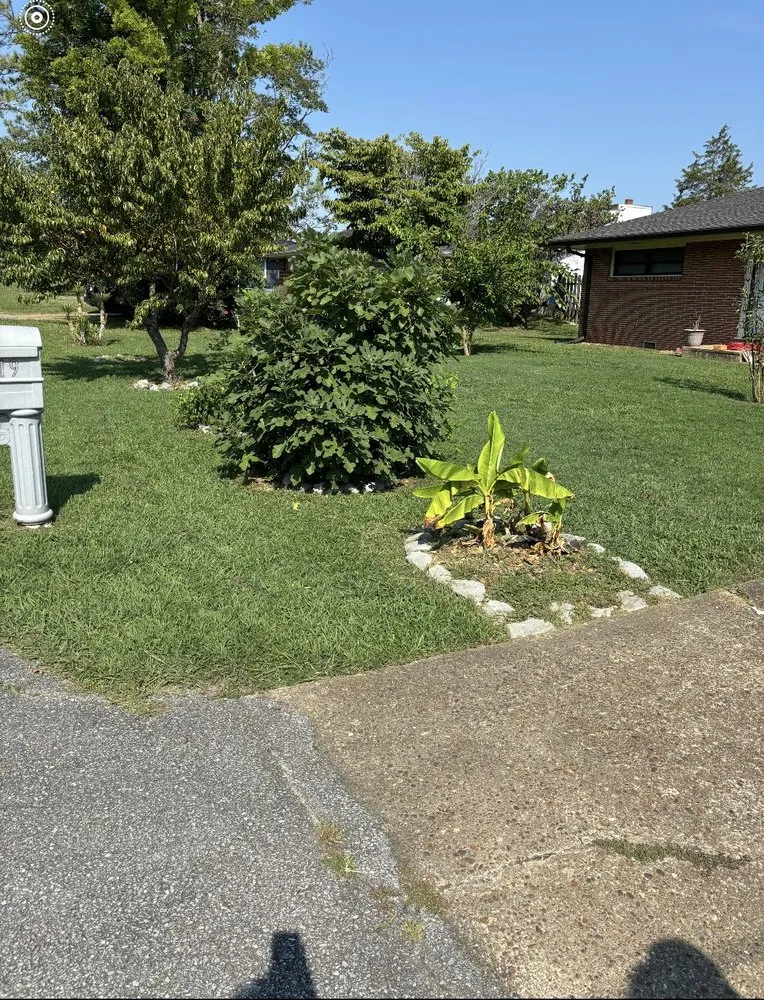 Custom residential landscaping in Rossville, GA - MD Landscaping & Construction