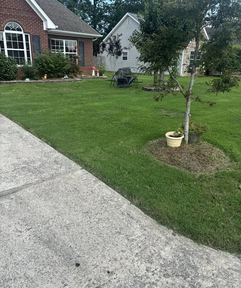 Affordable lawn care service for residential properties in Rossville, GA by MD Landscaping & Construction