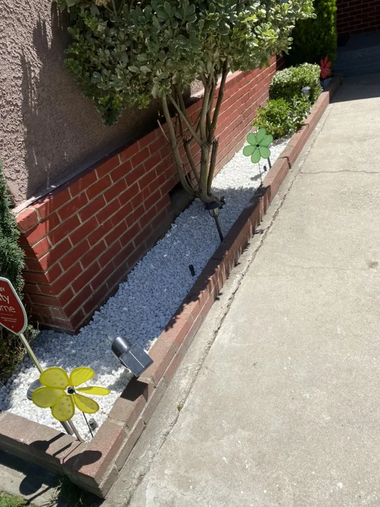 Expert yard maintenance experts serving Modesto, CA - MD Landscaping & Hauling