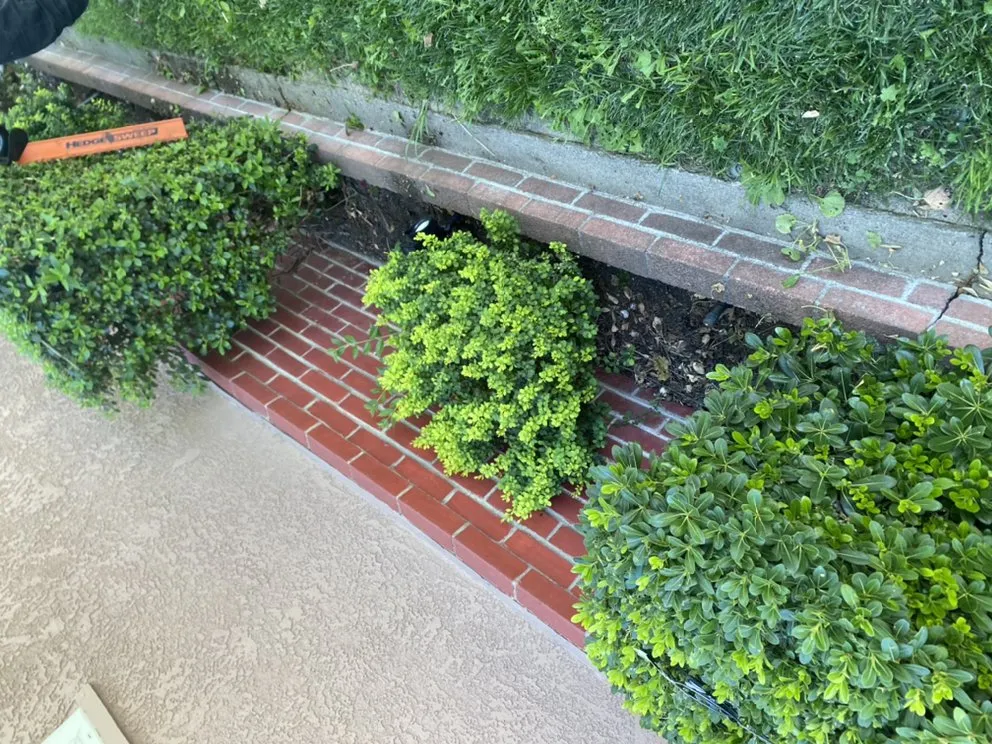 Local garden landscaping experts serving Modesto, CA - MD Landscaping & Hauling