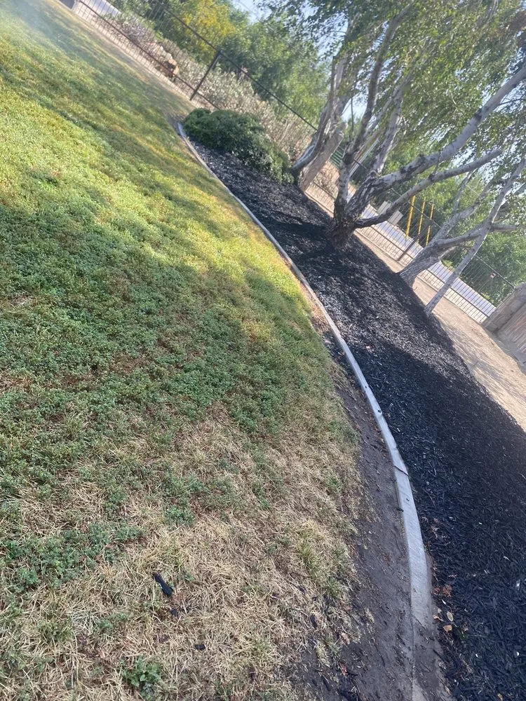 Custom yard cleanup service in Modesto, CA by MD Landscaping & Hauling