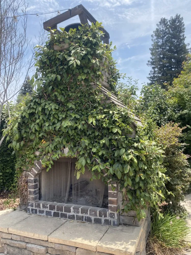 Expert landscape design in Modesto, CA by MD Landscaping & Hauling