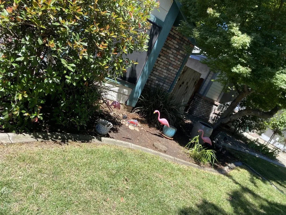 Professional lawn care service experts serving Modesto, CA - MD Landscaping & Hauling