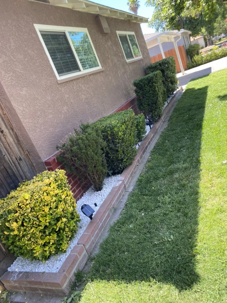 Custom landscape installation with custom design across Modesto, CA - MD Landscaping & Hauling