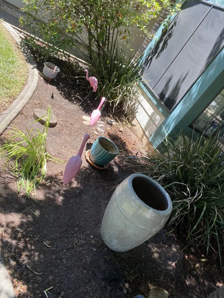 Professional landscaping services experts serving Modesto, CA - MD Landscaping & Hauling