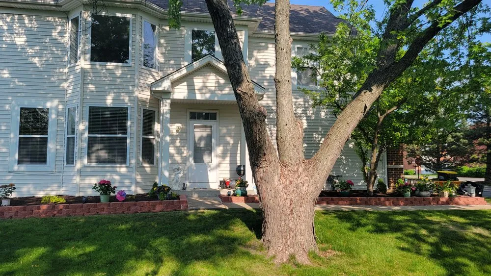 Reliable yard maintenance for year-round maintenance in Elmwood Park, IL by M&D Landscaping