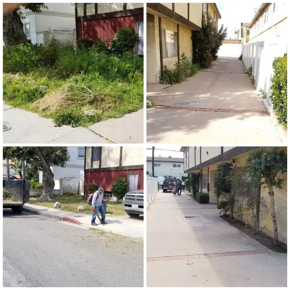 Professional landscaping services experts serving Long Beach, CA - MD Landscaping