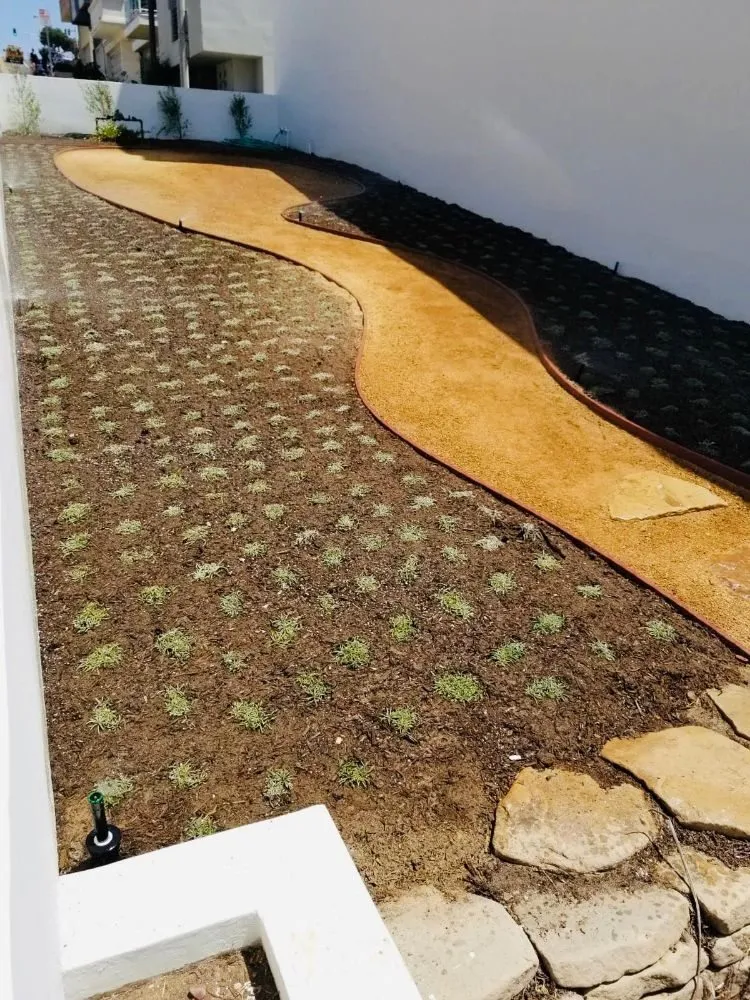 Local yard cleanup service in Long Beach, CA - MD Landscaping