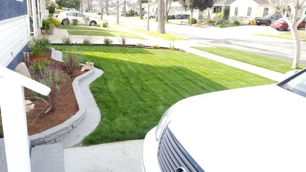 Top-rated lawn mowing service in Long Beach, CA - MD Landscaping