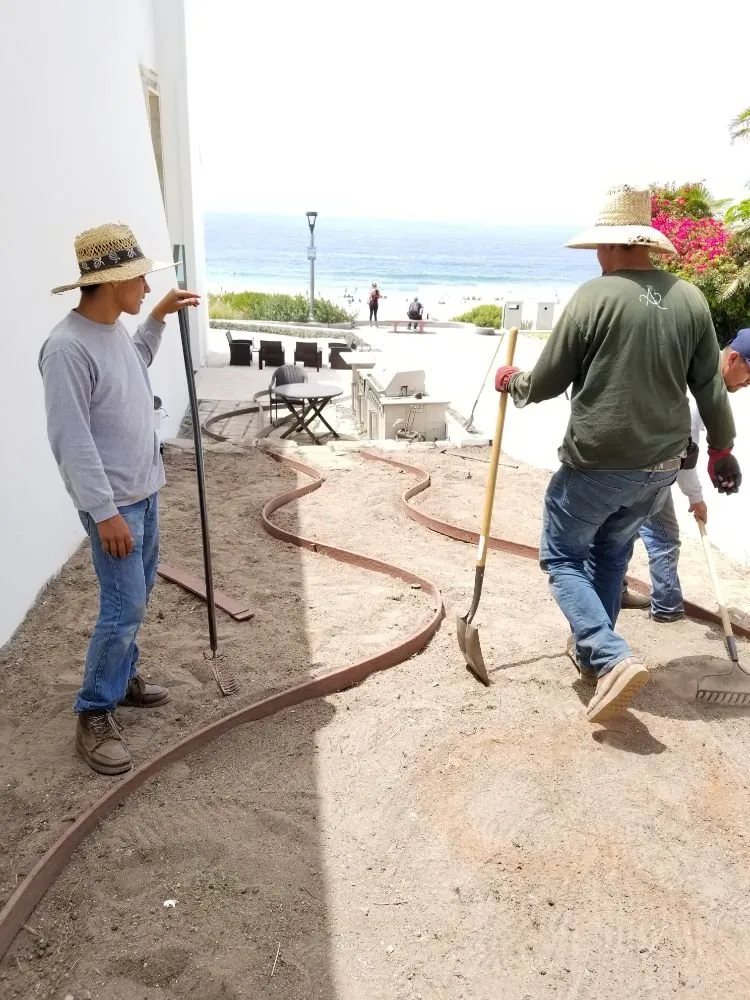 Affordable outdoor landscaping in Long Beach, CA by MD Landscaping