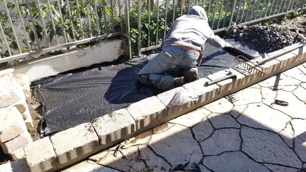 Affordable residential landscaping for year-round maintenance in Long Beach, CA by MD Landscaping