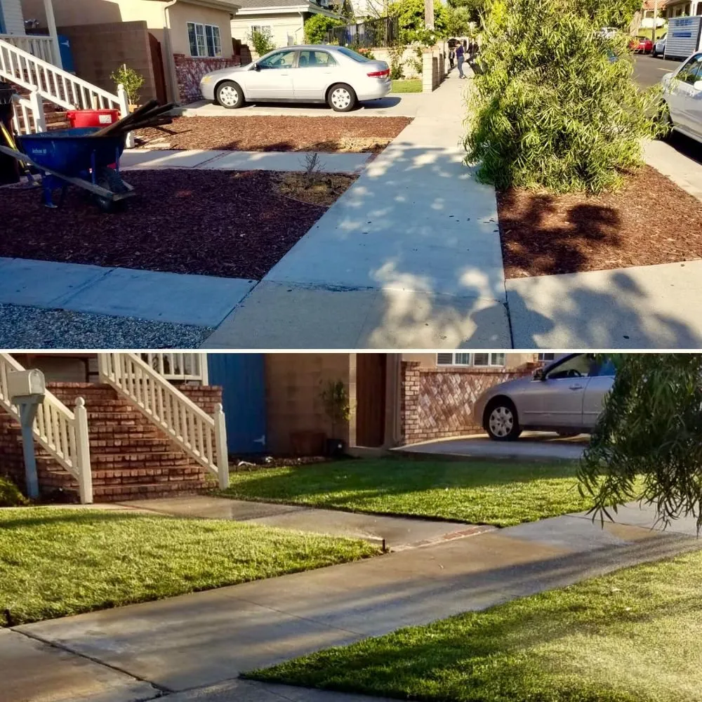 Custom landscape design for year-round maintenance across Long Beach, CA - MD Landscaping