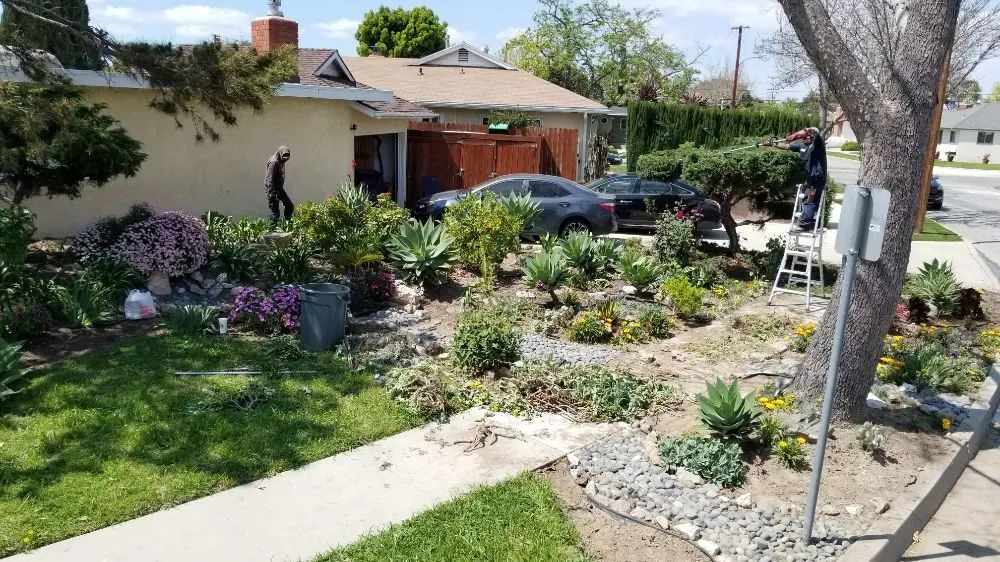 Top-rated lawn mowing service experts serving Long Beach, CA - MD Landscaping