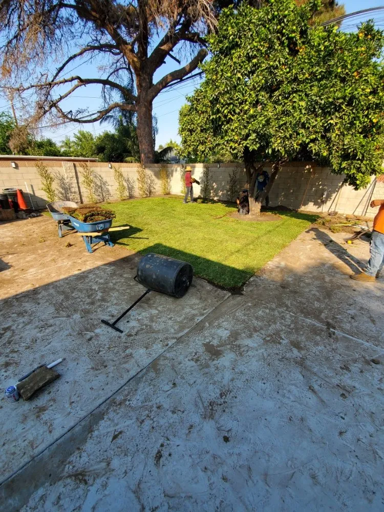 Custom landscape design experts serving Long Beach, CA - MD Landscaping