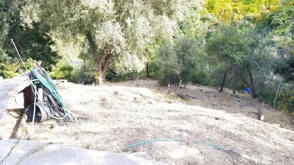 Reliable landscaping services in Long Beach, CA by MD Landscaping