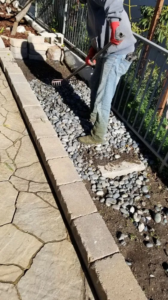 Trusted lawn mowing service in Long Beach, CA - MD Landscaping