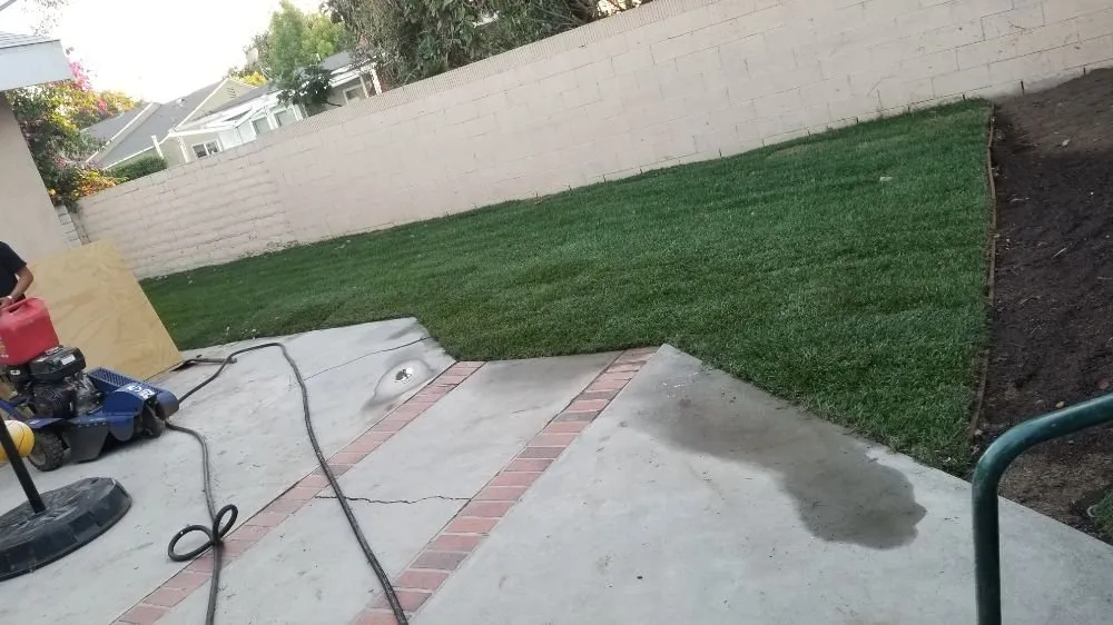 Top-rated lawn mowing service in Long Beach, CA - MD Landscaping