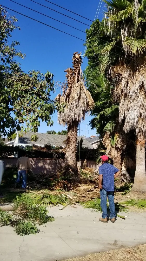 Custom landscaping services experts serving Long Beach, CA - MD Landscaping