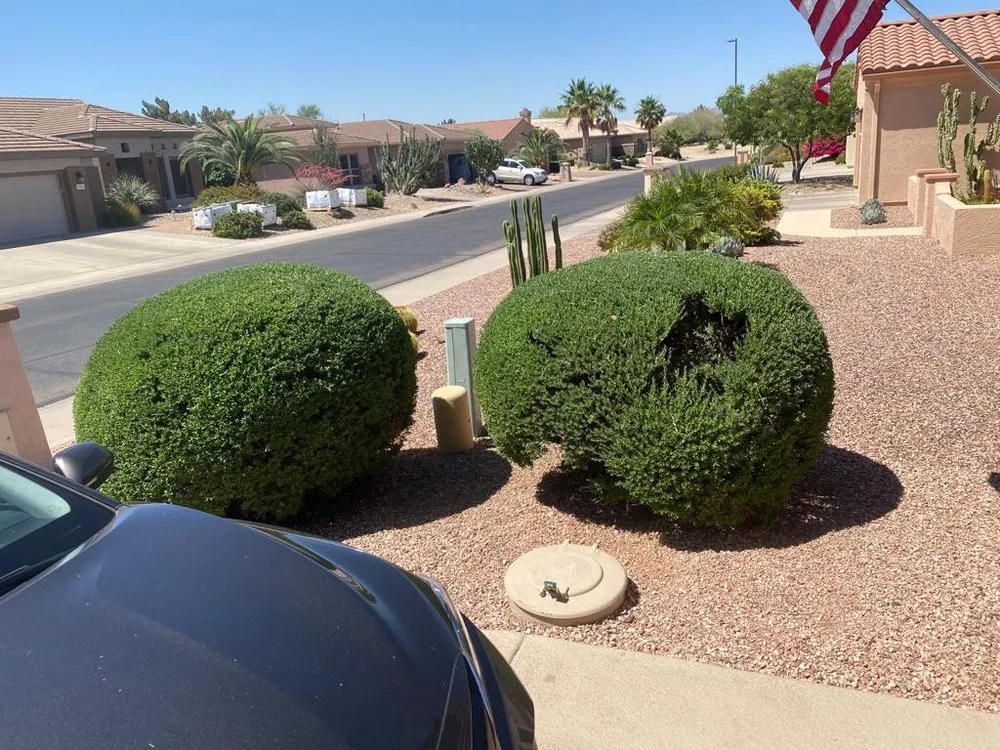 Affordable landscape installation with custom design in Tonopah, AZ by M&D landscaping