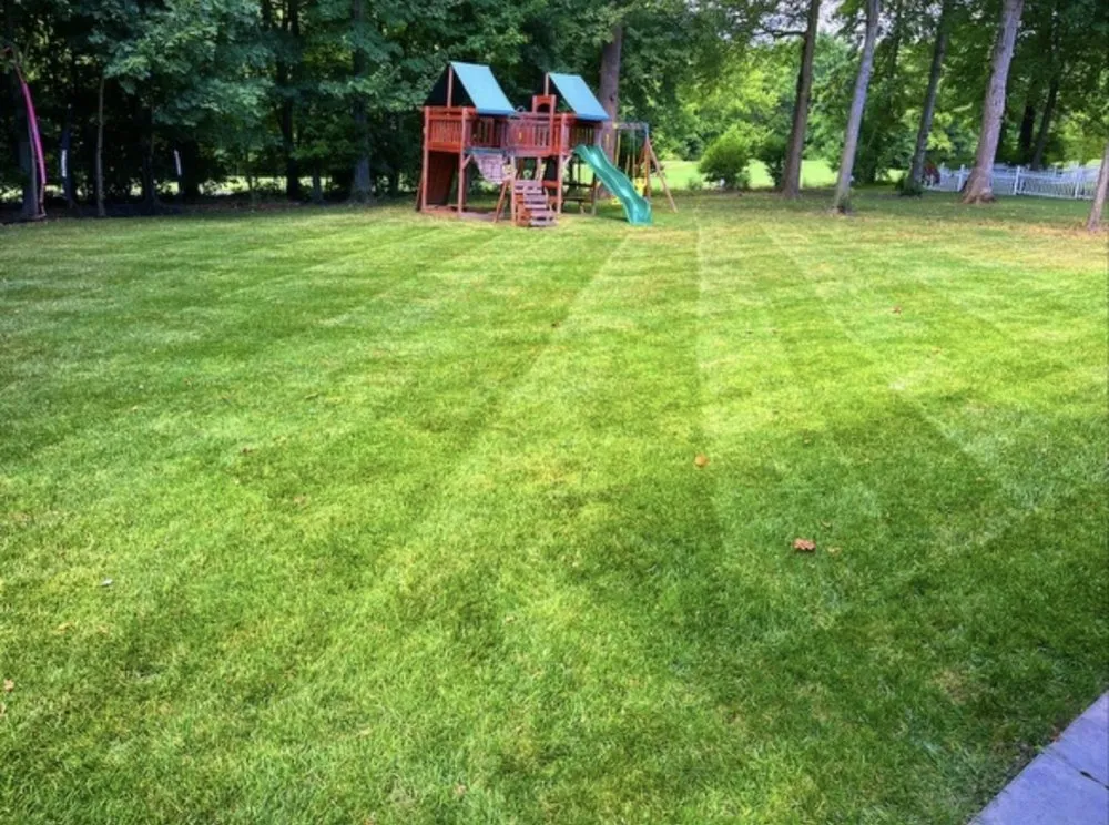 Local lawn mowing service with custom design in Elkridge, MD by MD Lawn Care & Landscaping