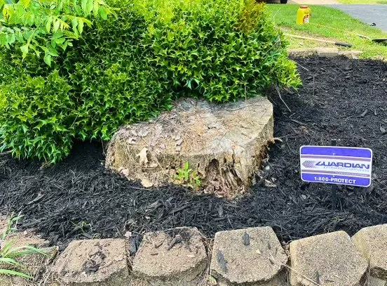 Top-rated landscape design in Elkridge, MD by MD Lawn Care & Landscaping