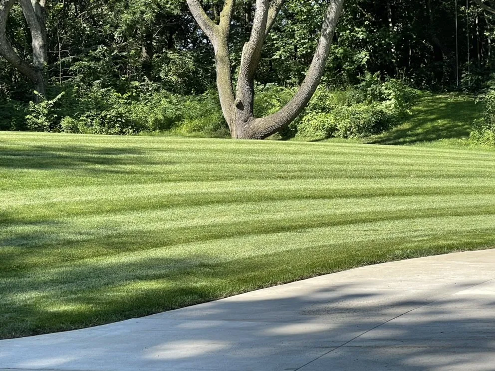 Local yard cleanup service in Goshen, IN by MD Lawn Care and Property Services