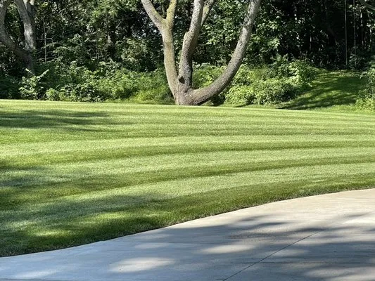 MD Lawn Care and Property Services Logo