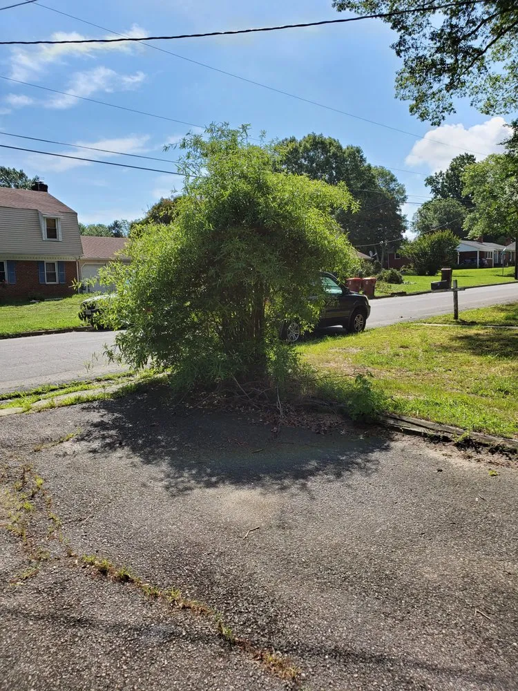 Expert landscape installation near you across Lynchburg, VA - MD Lawn Care and Small Home Repair