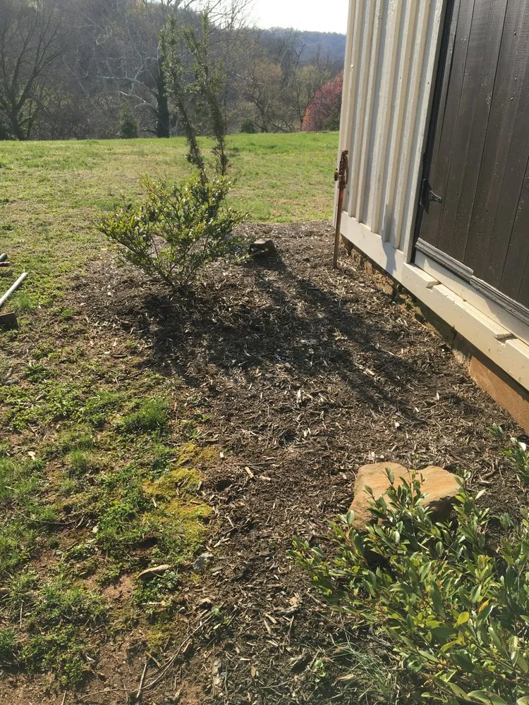 Professional outdoor landscaping in Lynchburg, VA - MD Lawn Care and Small Home Repair