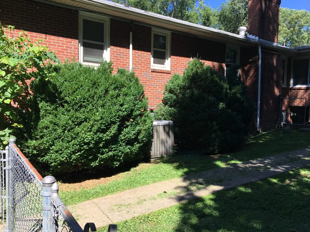 Reliable yard maintenance experts serving Lynchburg, VA - MD Lawn Care and Small Home Repair