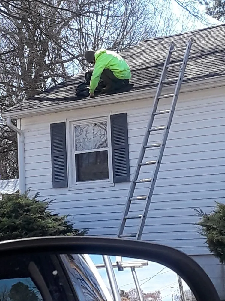 Affordable landscaping services in Lynchburg, VA by MD Lawn Care and Small Home Repair