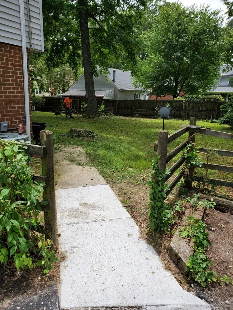 Local landscape design in Lynchburg, VA by MD Lawn Care and Small Home Repair